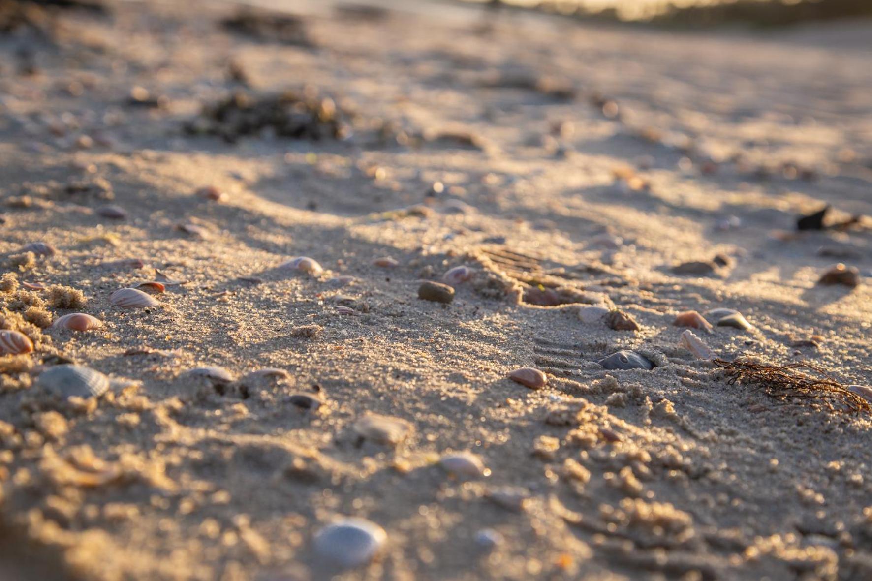 Wohnen Am Suedstrand - Ferienwohnung 0 4 Wyk auf Föhr المظهر الخارجي الصورة